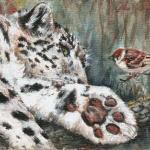 art-paintings-artcard-realism-feline-bird