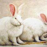 art-paintings-miniature-realism-rabbit-bunnies