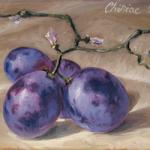 artcard-art-aceo-paintings-fruit-realism-grapes-red_grapes