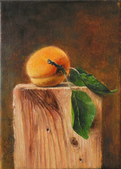 apricot-realist-oil-painting-on-canvas-daniel-chiriac-art-m