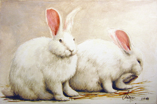 art-paintings-miniature-realism-rabbit-bunnies