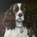 Spaniel_dog-pet_portrait
