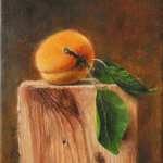 apricot-realist-oil-painting-on-canvas-daniel-chiriac-art-m